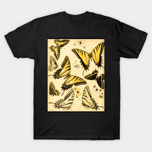 Yellow Butterfly Vintage Botanical Illustration T-Shirt